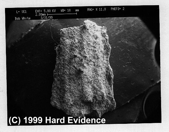 Scanning Electron Microscope Photos