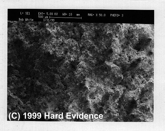 Scanning Electron Microscope Photos