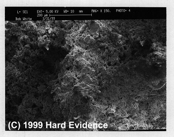 Scanning Electron Microscope Photos