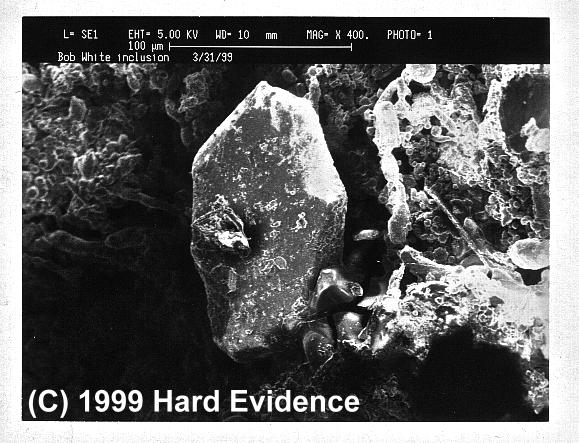 Scanning Electron Microscope Photos
