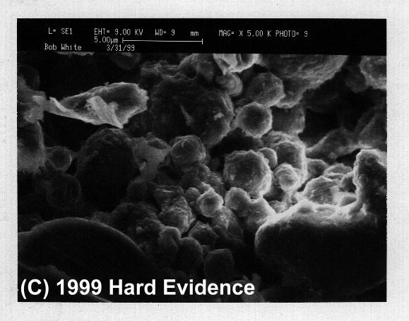 Scanning Electron Microscope Photos