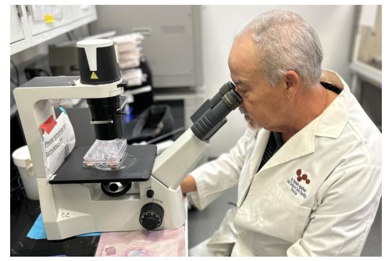 compound that successfully kills leukemia and lymphoma cancer cells
