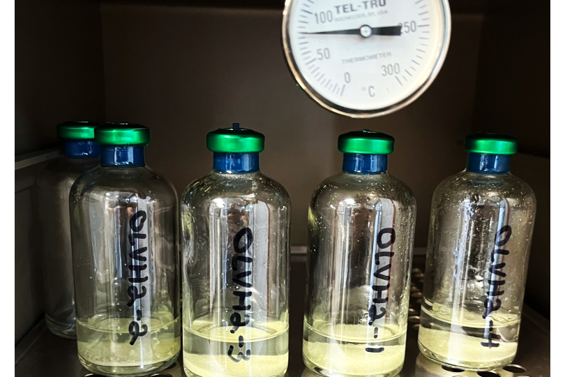 Producing Hydrogen From Rocks