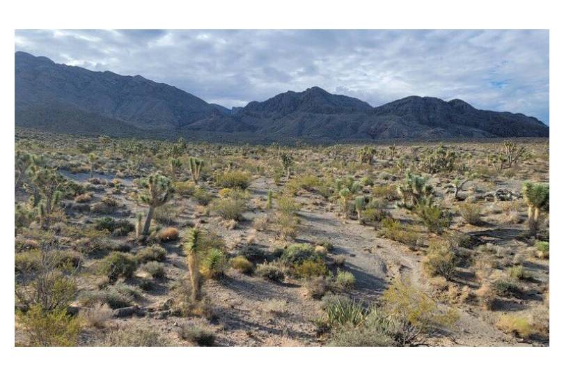 Nevada National Monuments