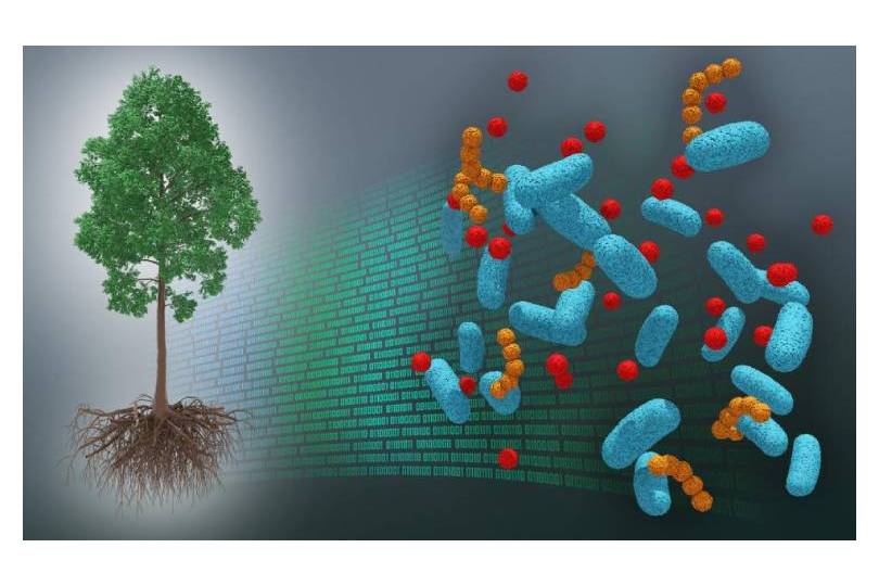 genes-to-ecosystems research