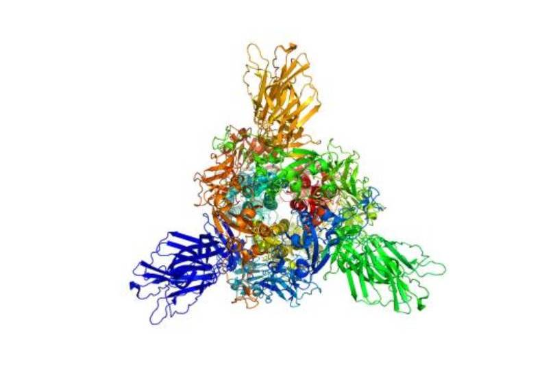 protein structure prediction