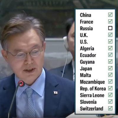 UN Security Council votes on the the plan to end the war in Gaza on June 10, 2024.