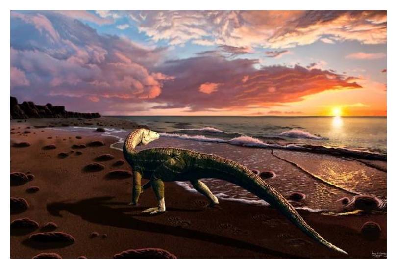 Triassic coastline