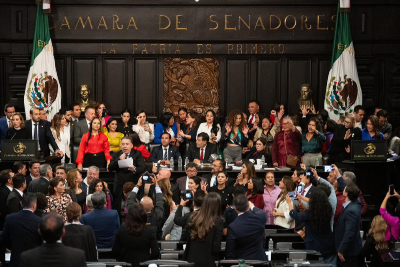 The Mexican Senate or La Camara de Senadores.